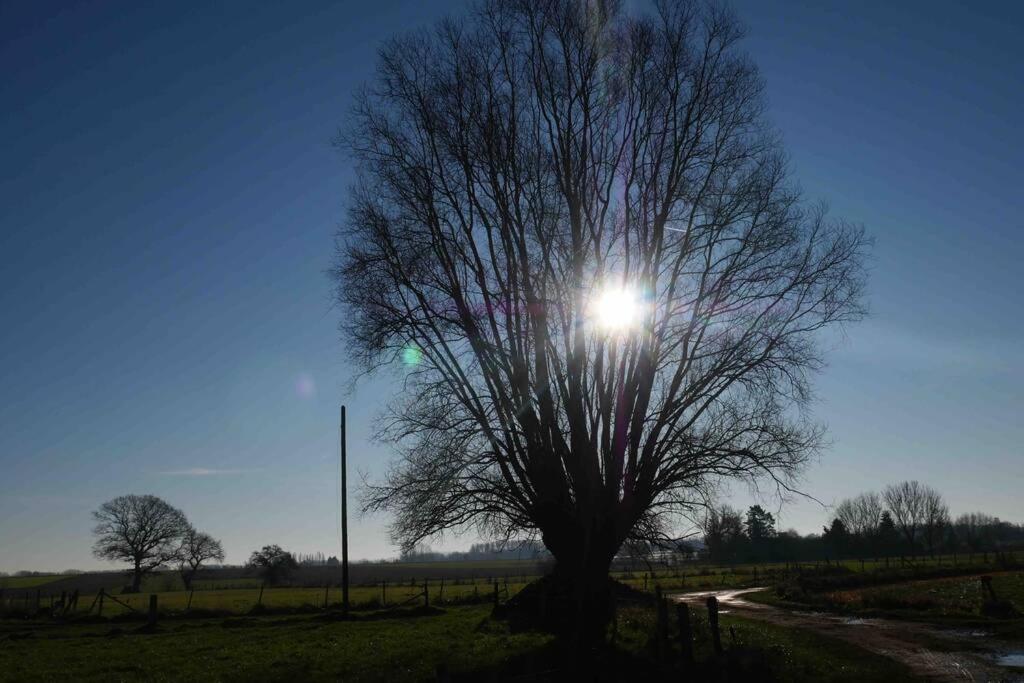Vakantiehuis L 'ecurie A La Campagne Flines-Les-Mortagne